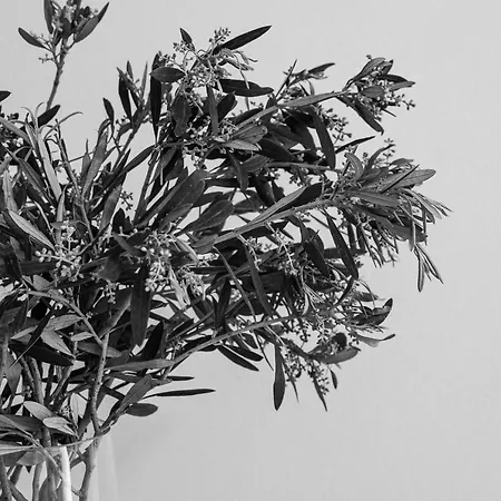 Sea View Casa Apartment *