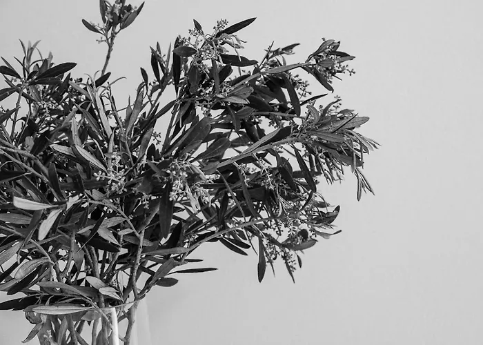 Sea View Casa Lejlighed *